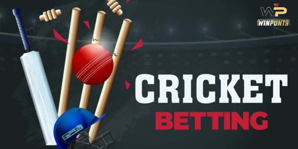 cricket exchange